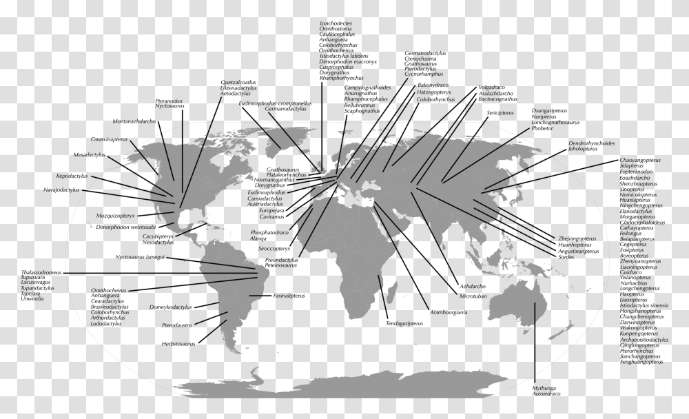 Pterosaur Fossil Distribution Map World Map Vector Grey, Diagram, Atlas, Plot, Person Transparent Png