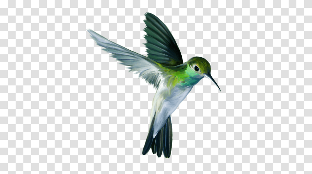 Ptichki Byvaiut Raznye Paintings Birds Animals Birds, Bee Eater, Hummingbird, Flying Transparent Png