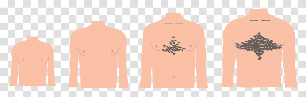 Pubic Hair Clipart Grow Hair In Chest Puberty, Skin, Back, Shoulder, Face Transparent Png