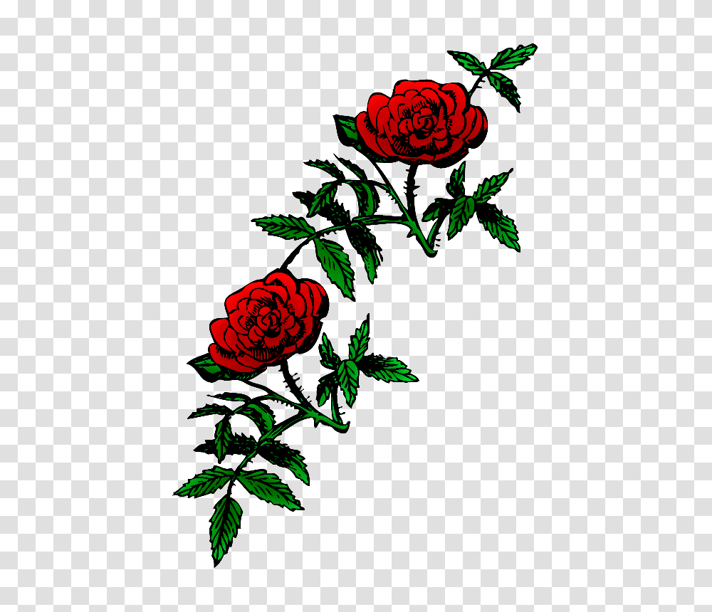 Public Domain Roses, Nature, Floral Design Transparent Png
