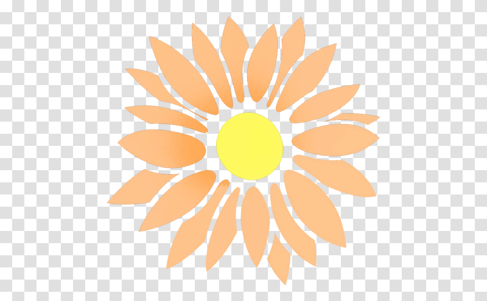 Publishings Certified Foggles Sonnenblume Icon, Plant, Flower, Blossom, Daisy Transparent Png