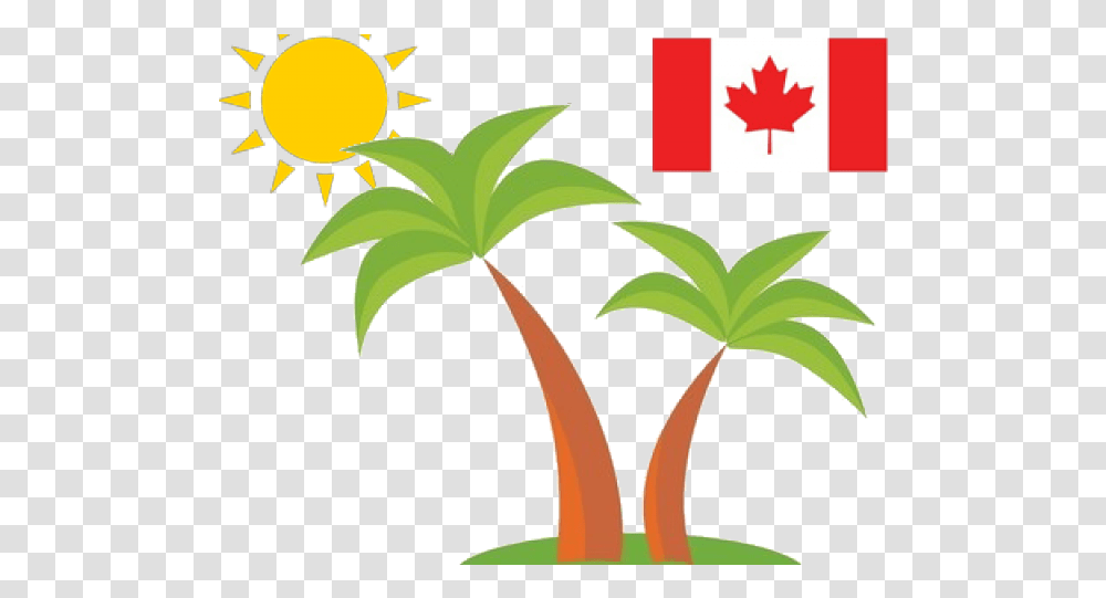 Puerto Rico Clipart Palm Tree Canada Flag Download Canada Flag, Plant, Arecaceae, Leaf, Flower Transparent Png