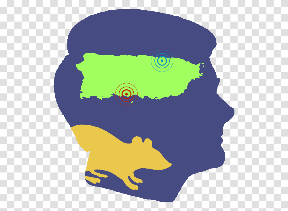 Puerto Rico Map With Cities, Face, Head Transparent Png
