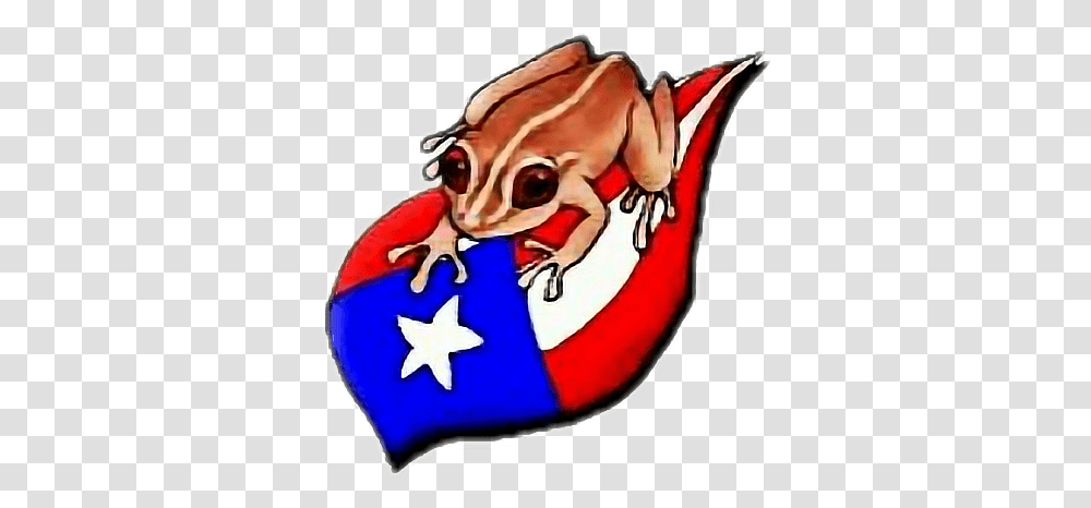 Puertorico Bandera Coqui, Frog, Amphibian, Wildlife, Animal Transparent Png