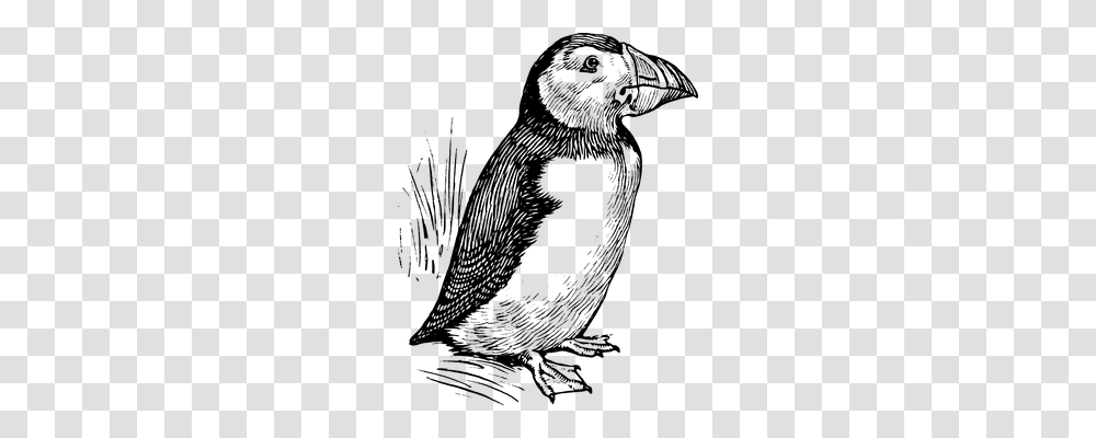 Puffin Technology, Gray, World Of Warcraft Transparent Png