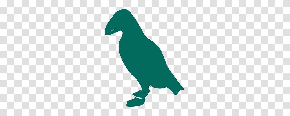 Puffin Animals, Bird, Beak, Penguin Transparent Png