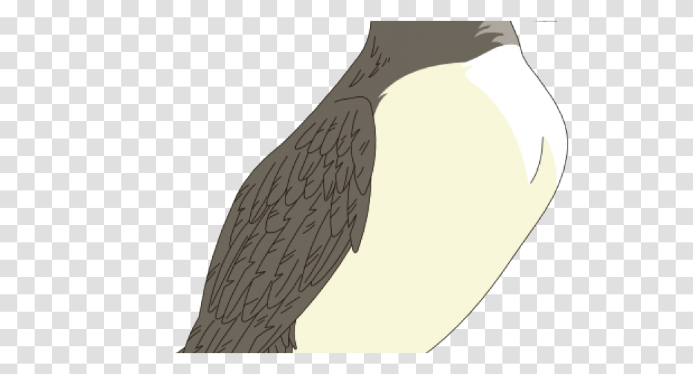 Puffin Clipart Beak, Bird, Animal, Penguin, Waterfowl Transparent Png