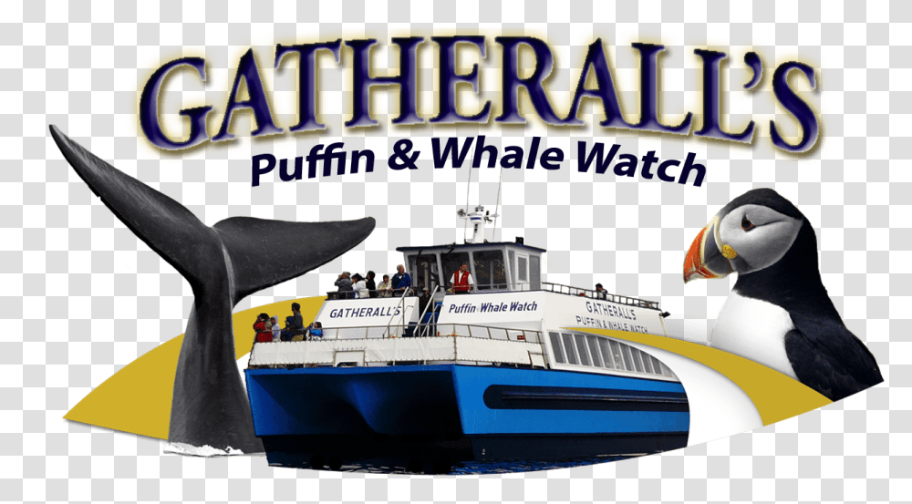 Puffin Conalep, Watercraft, Vehicle, Transportation, Person Transparent Png