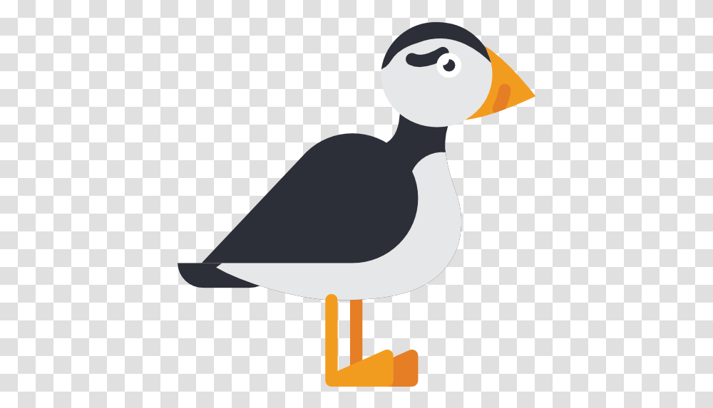 Puffin Free Animals Icons Clip Art, Bird, Lamp, Waterfowl, Duck Transparent Png
