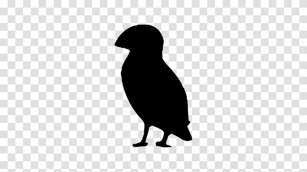 Puffin Silhouette, Gray, World Of Warcraft Transparent Png
