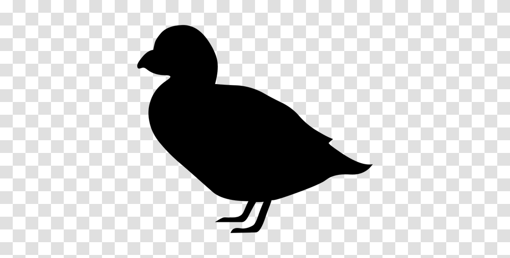Puffin Silhouette Image, Gray, World Of Warcraft Transparent Png
