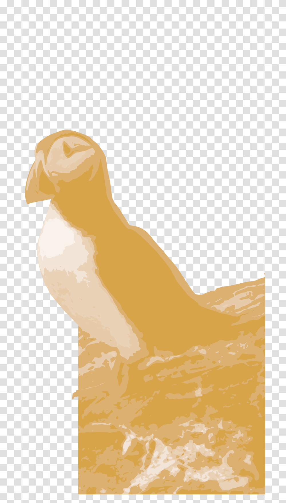 Puffin Watch I Demo Site No Lesser Panda Bird Of Prey, Animal, Hen, Chicken, Poultry Transparent Png