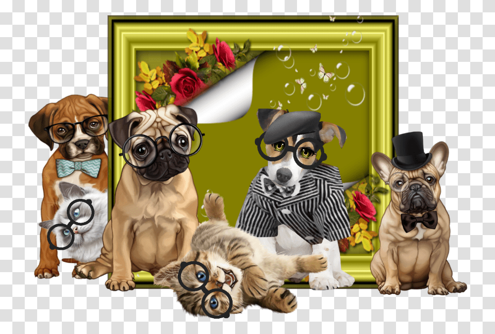 Pug, Advertisement, Mammal, Animal, Poster Transparent Png