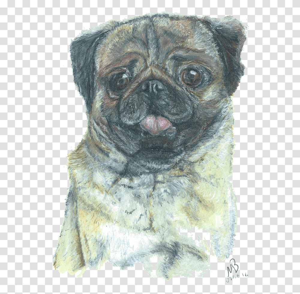 Pug Dog Pencil Dogs Pug Artworks, Mammal, Animal, Pet, Canine Transparent Png