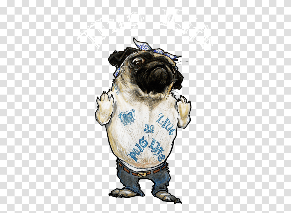 Pug, Dog, Pet, Canine, Animal Transparent Png