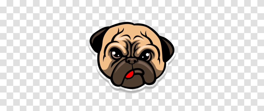 Pug, Dog, Pet, Canine, Animal Transparent Png