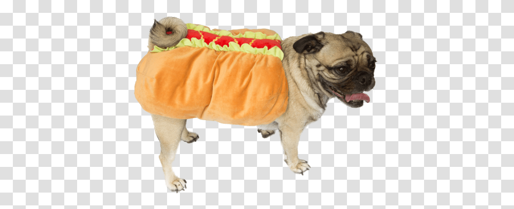 Pug Hot Dog Dachshund For Halloween Dog Clothes, Pet, Canine, Animal, Mammal Transparent Png