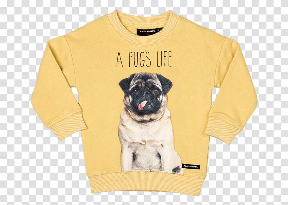 Pug Life SweatshirtClass Pug, Apparel, Dog, Pet Transparent Png