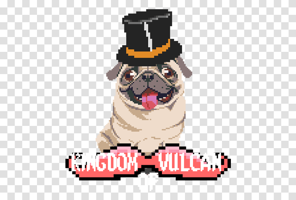 Pug, Pet, Animal, Canine, Mammal Transparent Png