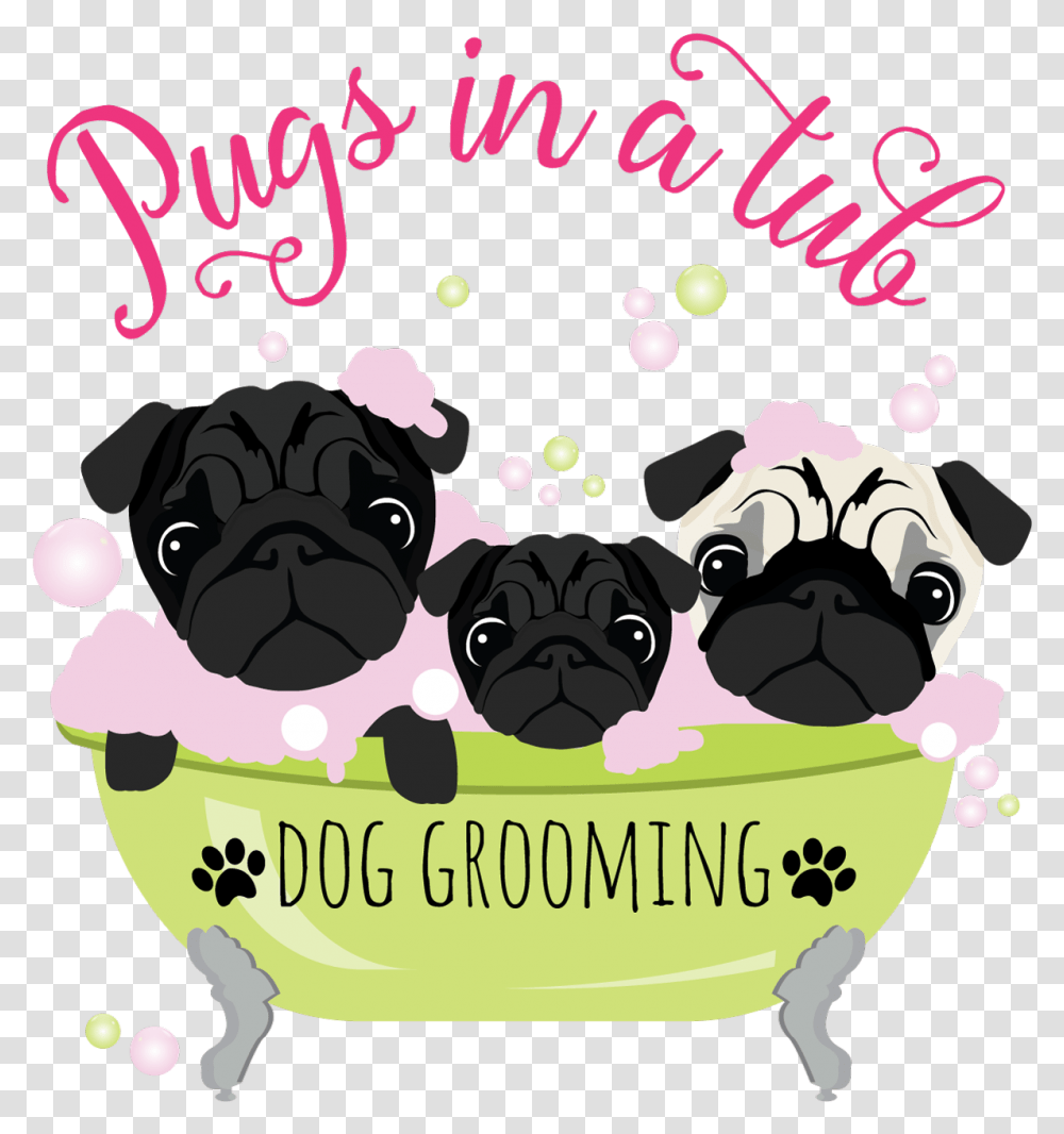 Pug, Pet, Animal, Dog, Canine Transparent Png