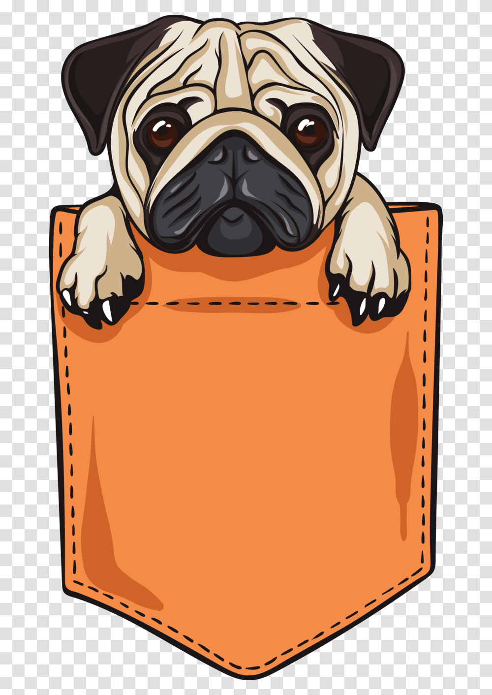 Pug Pocket Vector, Pet, Animal, Cushion Transparent Png