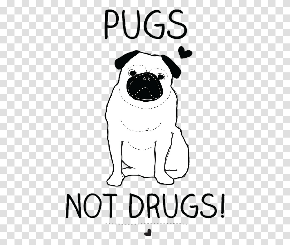 Pug, Poster, Advertisement, Mammal, Animal Transparent Png