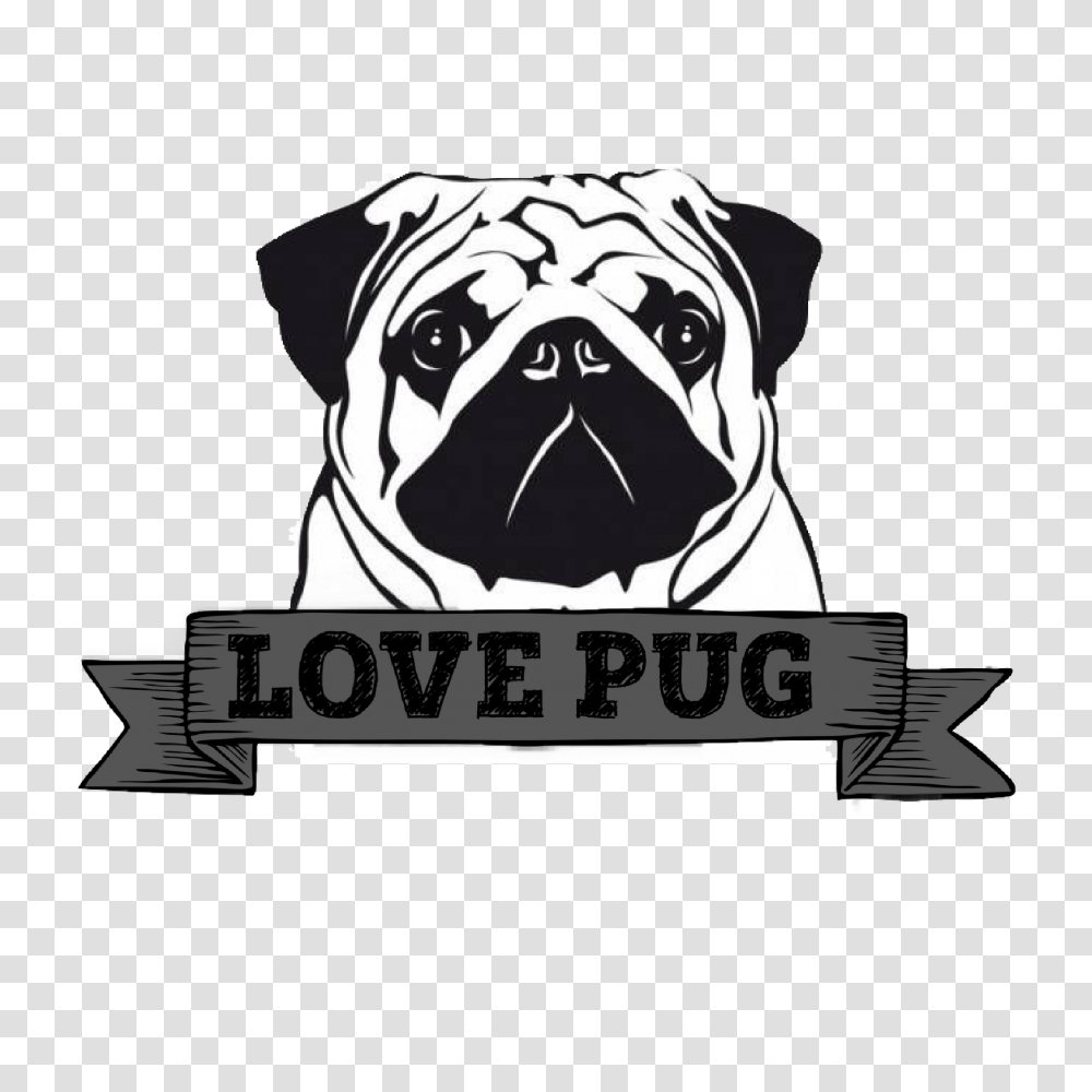 Pug Pug Art Pugs Pug Art Pug Love, Dog, Pet, Canine, Animal Transparent Png