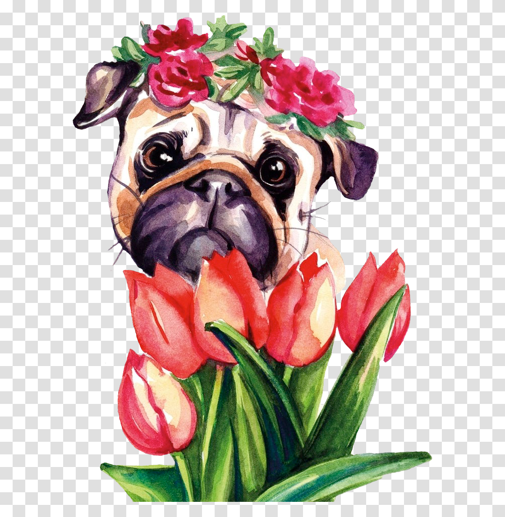Pug Puglife Floraldog Scpug Stickerchallenge Pug Pug, Plant, Canine, Mammal, Animal Transparent Png