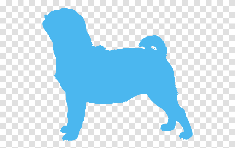 Pug Vector, Mammal, Animal, Dog, Pet Transparent Png