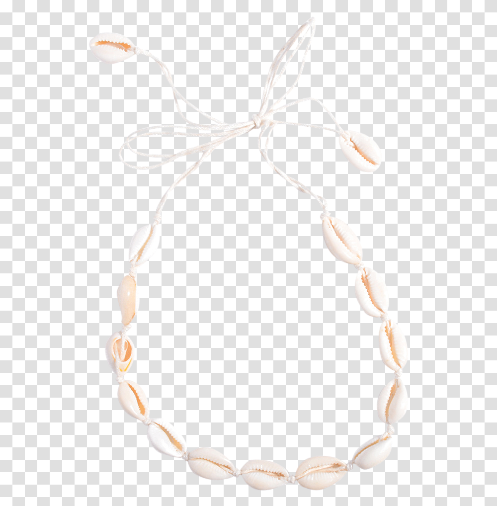 Puka Shell Necklace, Apparel, Accessories, Accessory Transparent Png