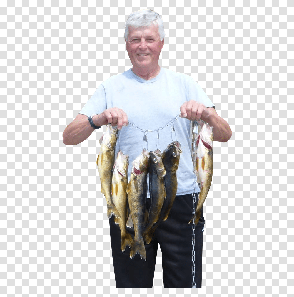 Pull Fish Out Of Water, Animal, Person, Human, Herring Transparent Png