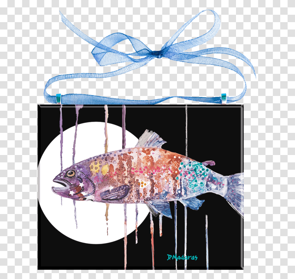 Pull Fish Out Of Water, Animal, Sea Life, Fishing Lure, Bait Transparent Png