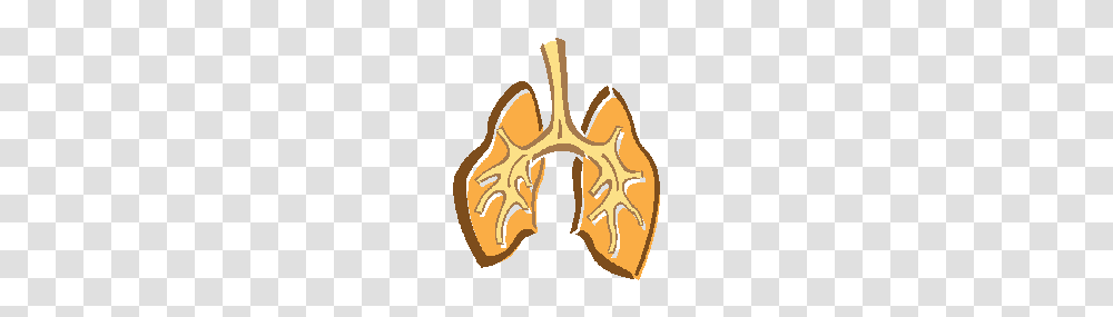 Pulmonary Clipart Collection, Antler Transparent Png