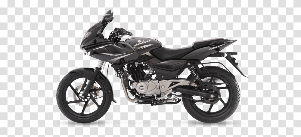 Pulsar 220f 2019 Black Triumph Speed Twin, Motorcycle, Vehicle, Transportation, Wheel Transparent Png