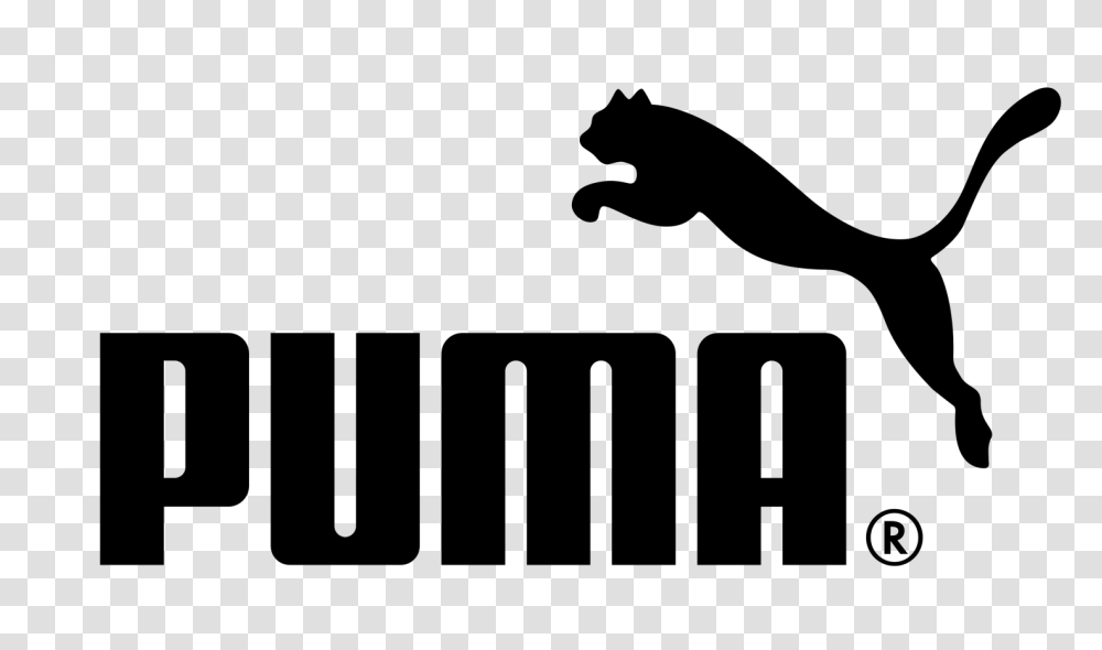 Puma Logo Background, Gray, World Of Warcraft Transparent Png