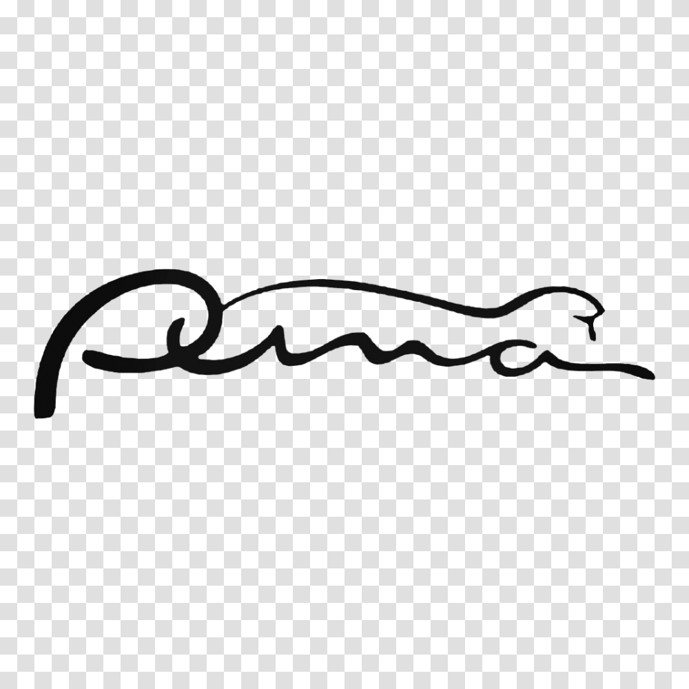 Puma Logo Photo Background, Handwriting, Signature, Autograph Transparent Png