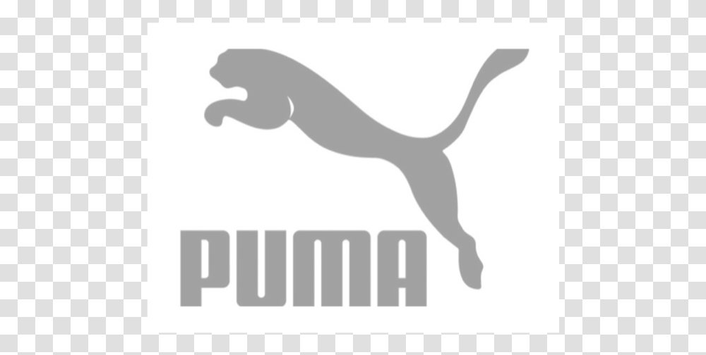 Puma Puma Logo, Gecko, Lizard, Reptile, Animal Transparent Png