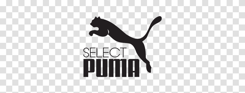 Puma Select, Gecko, Lizard, Reptile, Animal Transparent Png