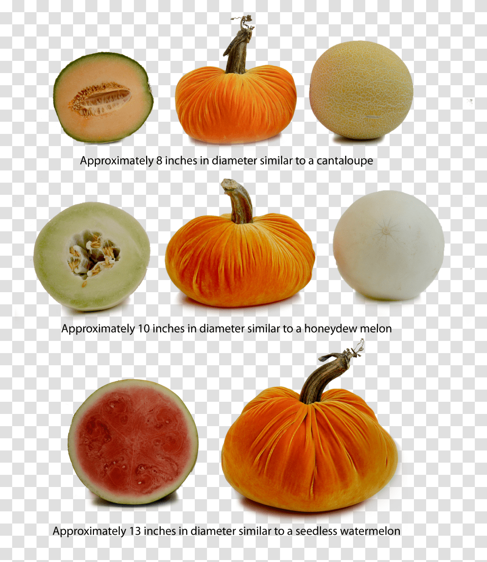 Pumkin Pumpkin Transparent Png