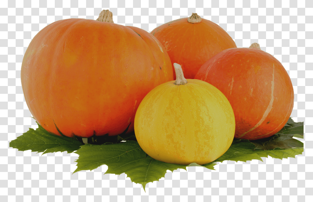 Pumpkin 960, Vegetable, Plant, Produce, Food Transparent Png