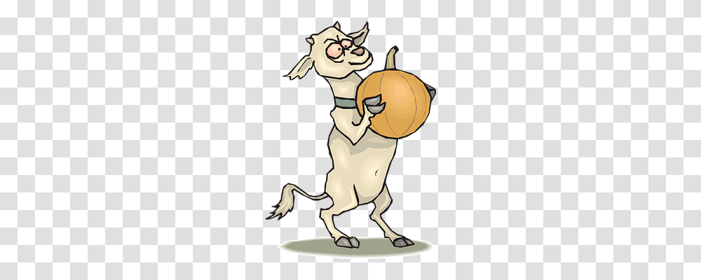 Pumpkin Animals, Head, Hand Transparent Png