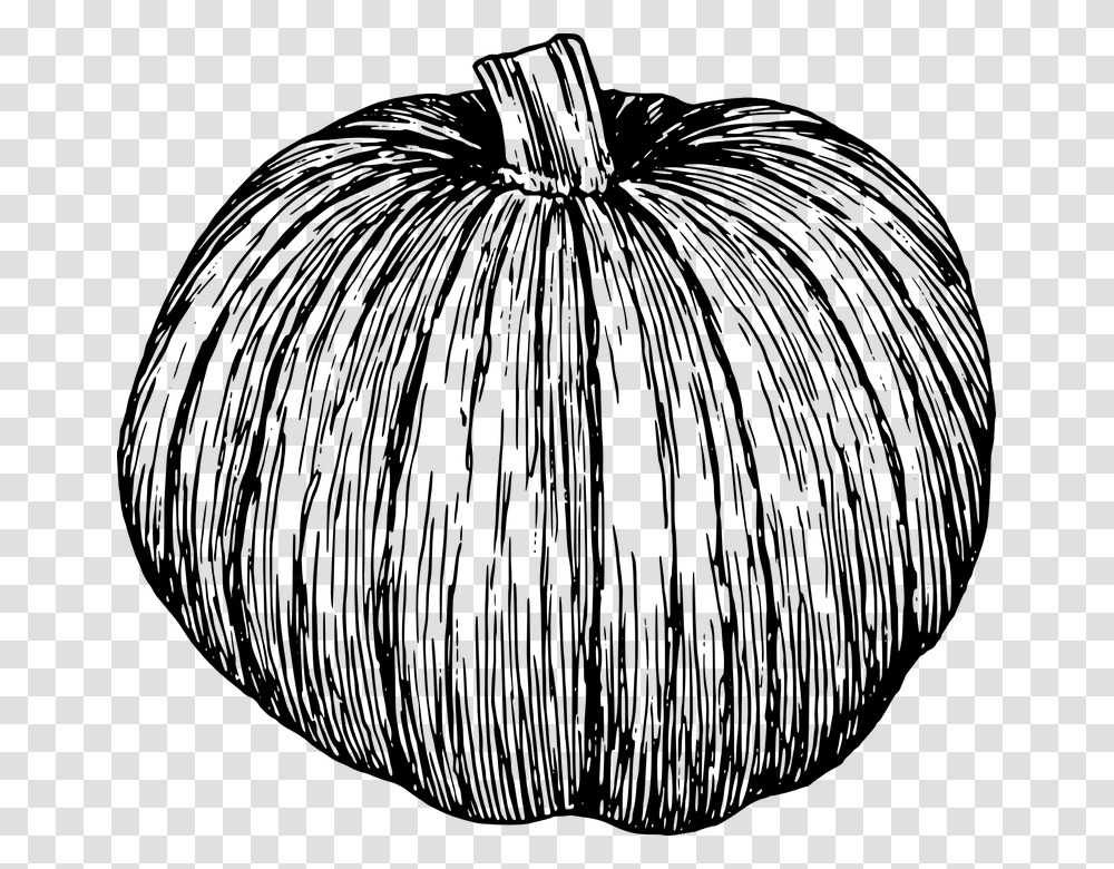 Pumpkin Black And White Background, Gray, World Of Warcraft Transparent Png