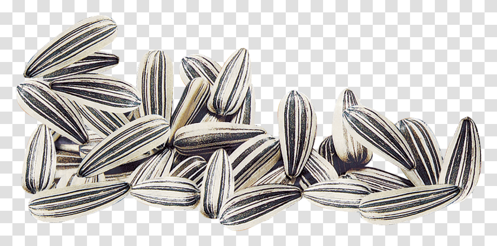 Pumpkin Black And White Pumpkin Seed Clipart Black And Sunflower Seeds Image Clipart, Plant, Grain, Produce, Vegetable Transparent Png