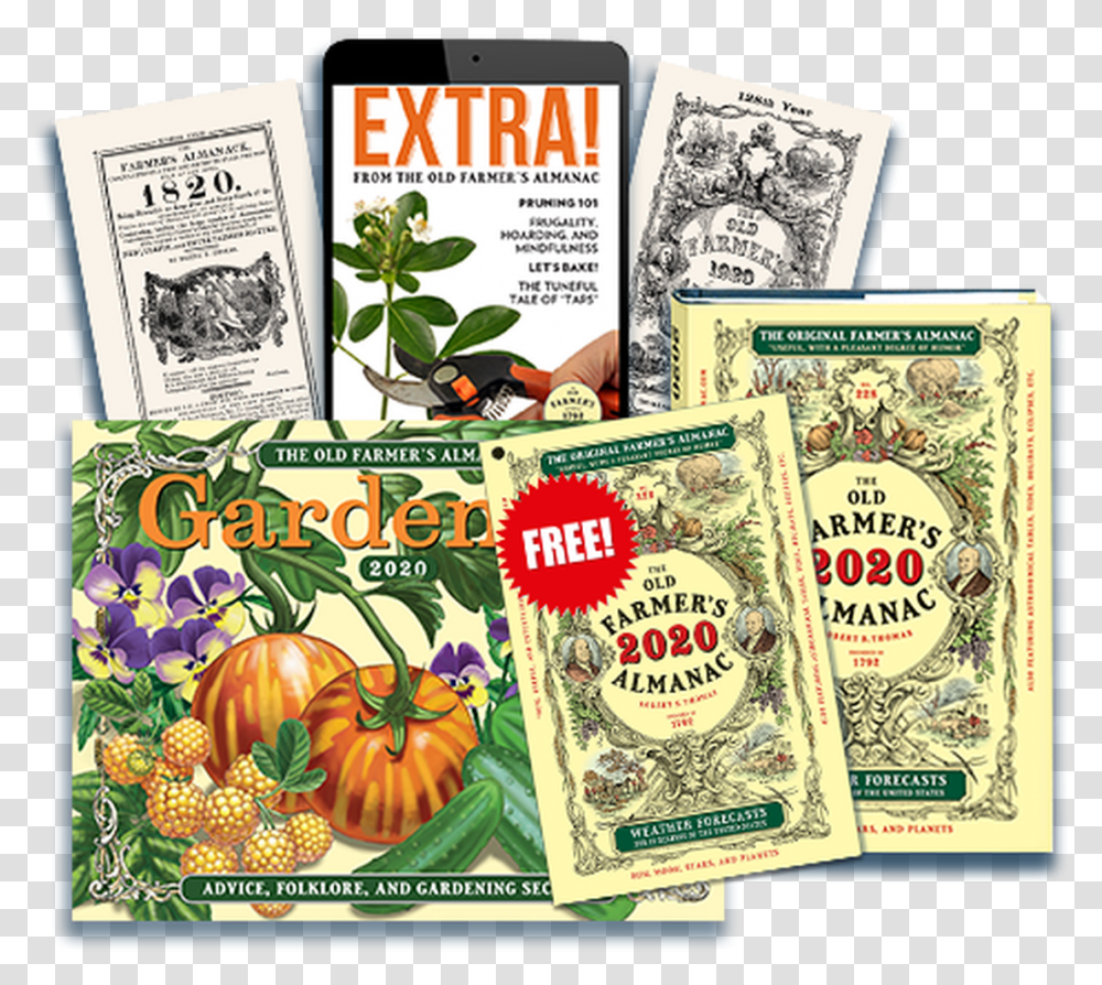 Pumpkin, Book, Plant, Money, Flyer Transparent Png