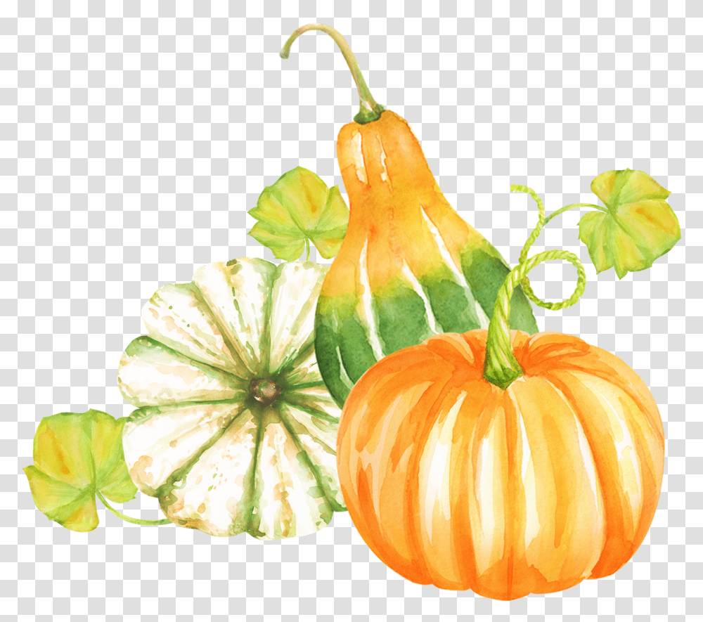 Pumpkin Clip Art Action De Grace Citrouille Transparent Png