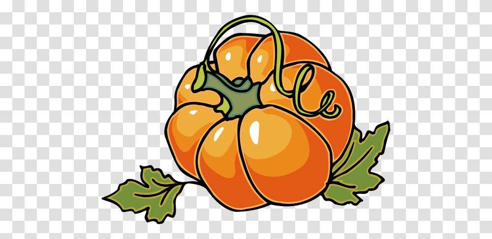 Pumpkin Clip Art, Plant, Food, Vegetable, Produce Transparent Png