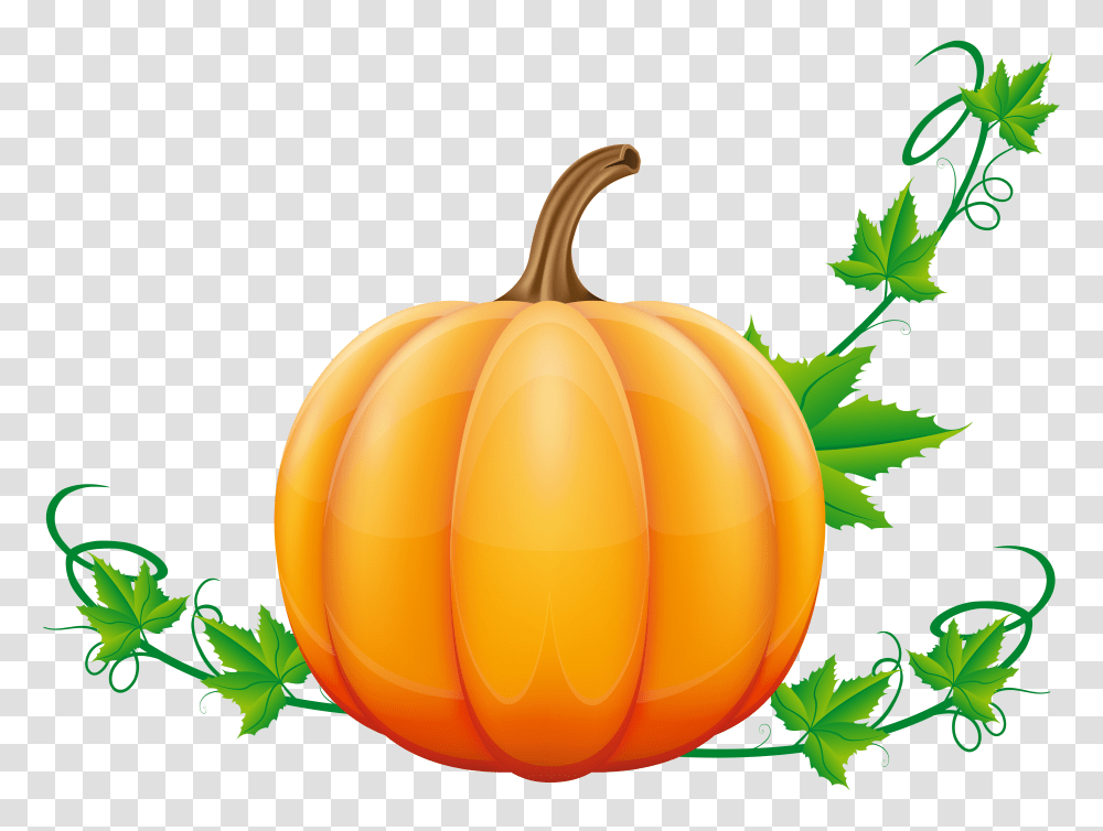 Pumpkin Clip Art, Plant, Vegetable, Food, Vase Transparent Png