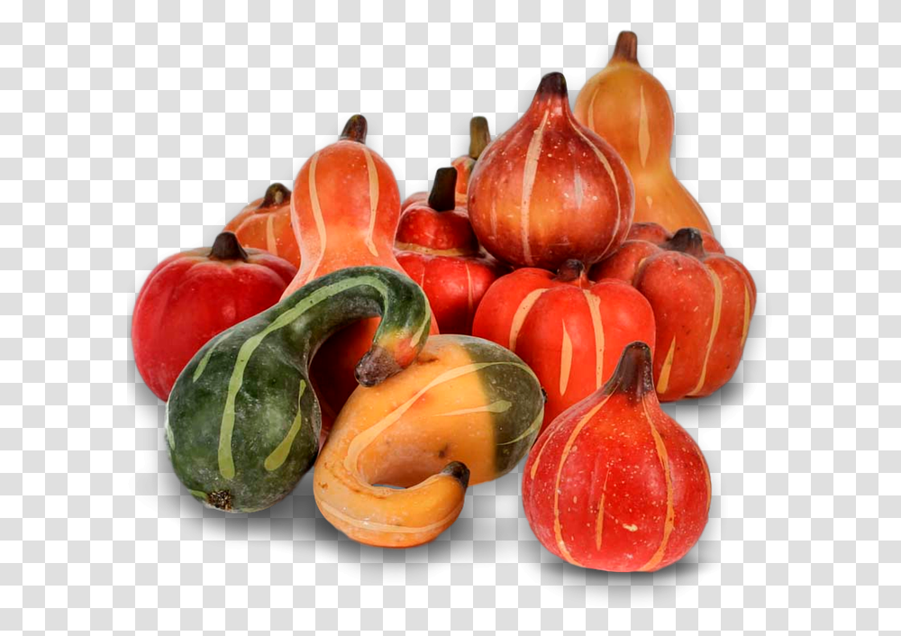 Pumpkin Fall Autumn Harvest Thanksgiving Season Calabaza, Plant, Vegetable, Food, Gourd Transparent Png