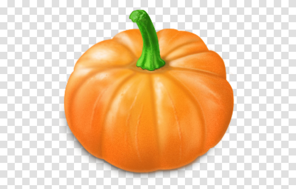 Pumpkin Free Download Yellow Colour Vegetables Name, Plant, Food, Fungus, Pepper Transparent Png
