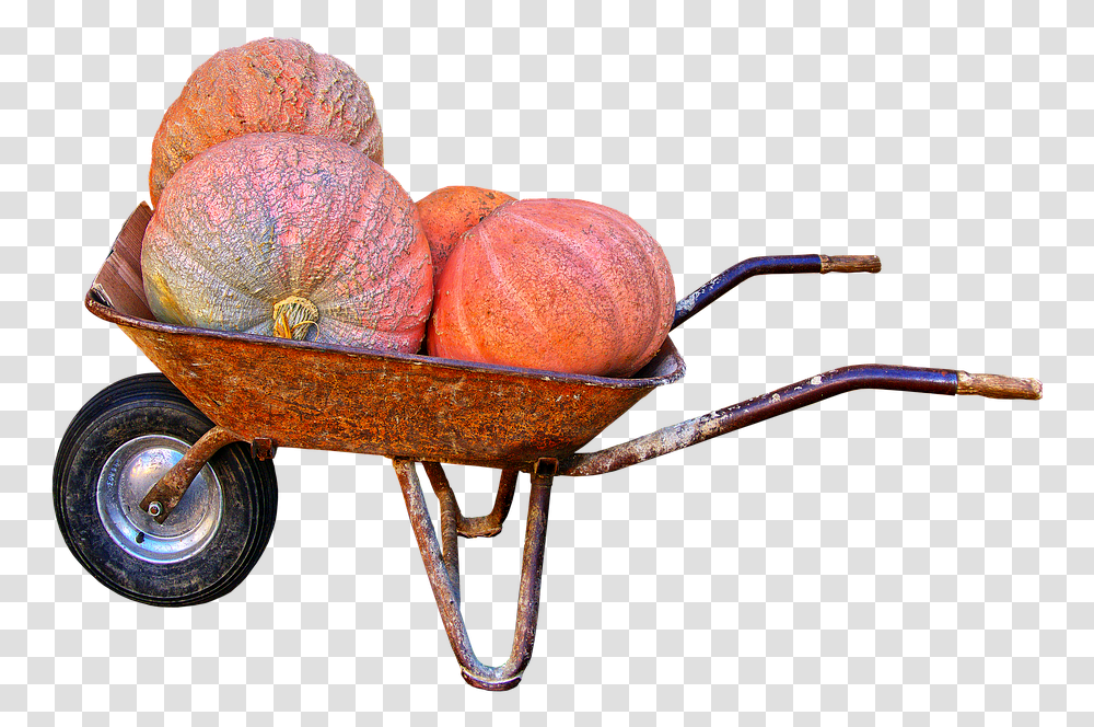 Pumpkin Giant Pumpkin Wheelbarrow Autumn, Plant, Vegetable, Food, Produce Transparent Png
